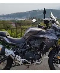 Benelli TRK 502 X 2022 export