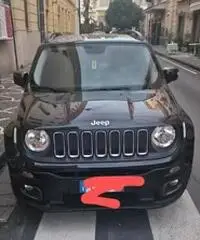 Jeep Renegade 120 Cv - 2