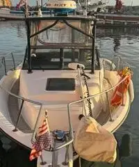 Bayliner Trophy 23 - 2