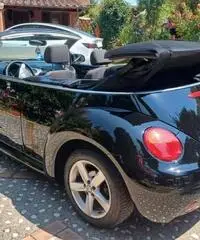 Volkswagen New Beetle 1.9 TDI 105CV Cabrio - 2