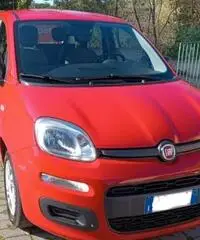 Fiat Panda 1.2 Easy 60.000 KM - 3