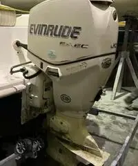 Evinrude 90 I-tec - 2