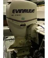 Evinrude 90 I-tec - 3