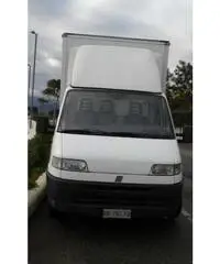 Fiat Ducato cassonato con sponda idraulica - 4