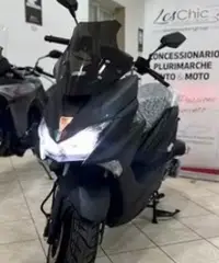 Mto urus 125 nuovo