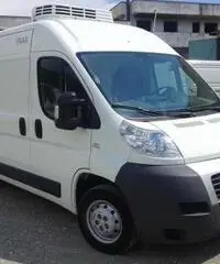 FIAT DUCATO ISOTERMICO FRIGO COIBENTATO