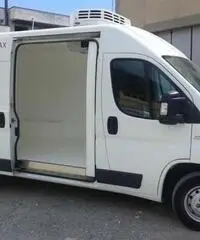 FIAT DUCATO ISOTERMICO FRIGO COIBENTATO - 2