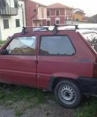 Panda autocarro - 4