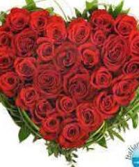 Cerco donne amicizia relazione