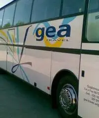 SETRA 215 HD '91 366 CV