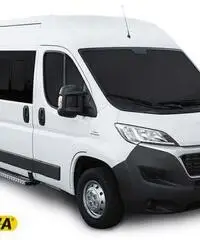 FIAT Ducato Trasporto Disabili 2016