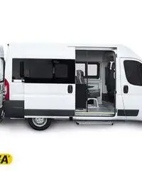 FIAT Ducato Trasporto Disabili 2016 - 2