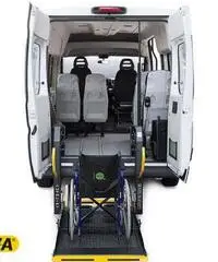 FIAT Ducato Trasporto Disabili 2016 - 3