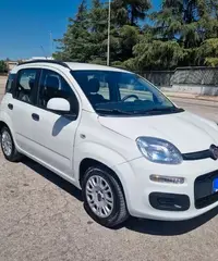 FIAT Panda 3ª serie - 2015 - 3