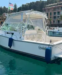 Carolina classic 28 con 2x260 Volvo penta d4 - 3