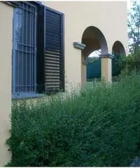 Casa indipendente a Arezzo 180mq