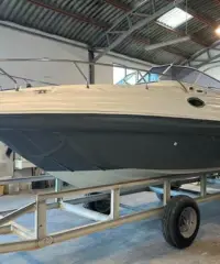 Ranieri Sea Lady 24 - 2