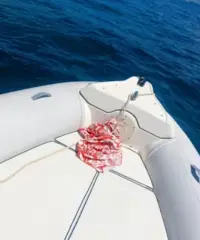 Gommone marlin 20 - 2