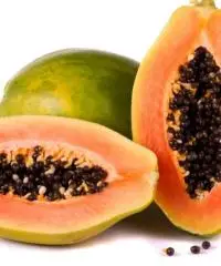 Piante papaya - 5