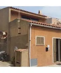 Santa Teresa Gallura: Appartamento Monolocale 45mq - 3