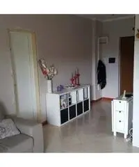 Appartamento in zona centro a Pomezia 30mq - 3