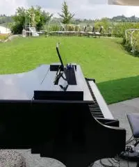 Pianista Bergamo