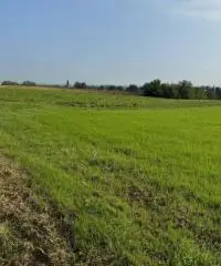 Terreno agricolo corpo unico di circa 17 ha - 10