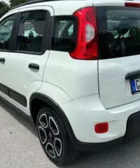 Fiat Panda 1.0 HYBRID 5 POSTI - 2022 - 2