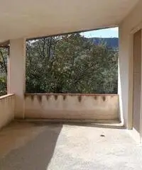 Stabile/Palazzo a Torre Orsaia - 3
