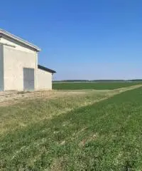 Terreno  Agricolo di 8 ha con pozzo e stalla a Sissa Trecasali - 2