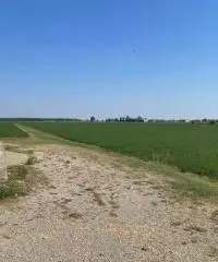 Terreno  Agricolo di 8 ha con pozzo e stalla a Sissa Trecasali - 10