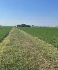 Terreno  Agricolo di 8 ha con pozzo e stalla a Sissa Trecasali - 11