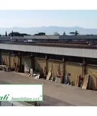 Capannone industriale mq 5400 Cod. V-254 - 2