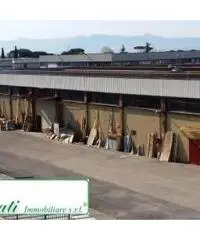 Capannone industriale mq 5400 Cod. V-254 - 3