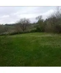 Ripe Vendita Rustico 600mq - 2