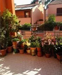 Senigallia: Appartamento Altro 180mq - 3