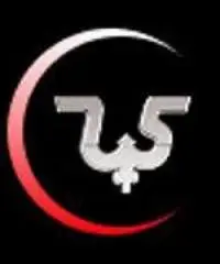 Ride Sharing App Development Solutions – Smart Technology for Modern Apps