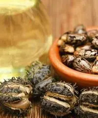Buy Pure Castor Oil Online for Hair & Skin Care