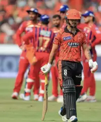 Tigerexch VIP Premium Cricket Exchange Experience