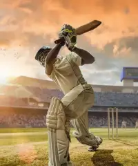 Tiger Exchange Cricket Trusted Platform for Live Cricket Action