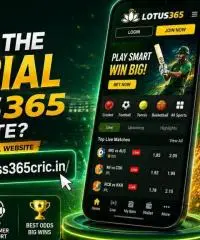 Lotus365 is a trusted online cricket betting and sports platform designed