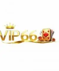 VIP66