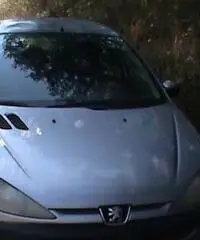 Peugeot 206 - Potenza