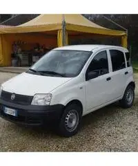 FIAT PANDA VAN METANO - Marche - 2