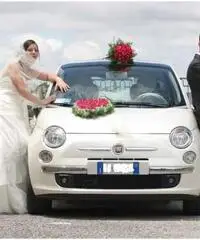 Noleggio fiat 500 (colore bianco perla) per cerimonie - Molise