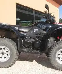 WT Motors WT500 Ram 2007