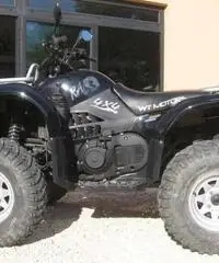 WT Motors WT500 Ram 2007 - 3