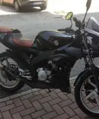 Aprilia Tuono 50cc. - 2