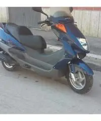 Honda pantem