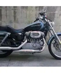 H-d 883 custom